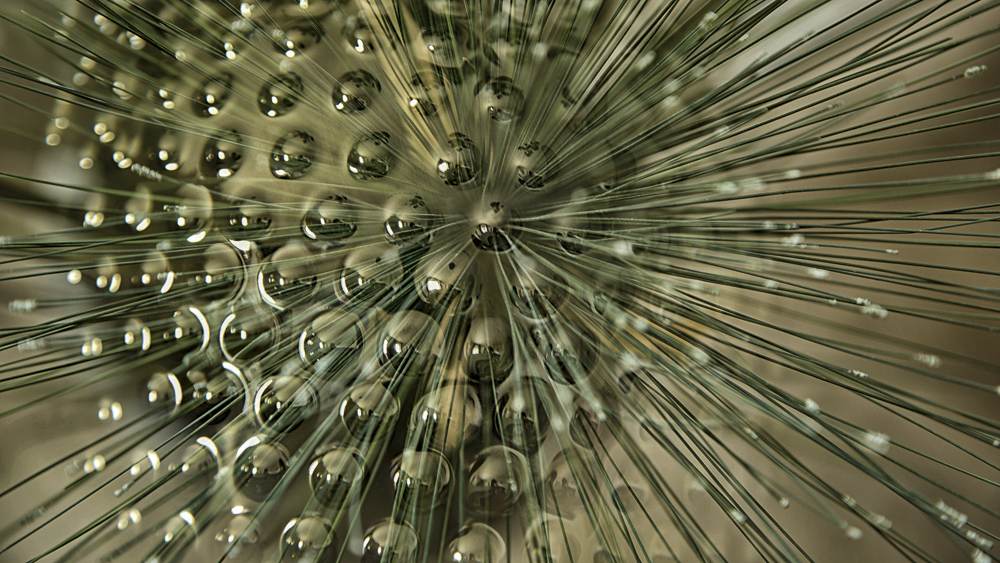 Platz 6 Willi Bitzer